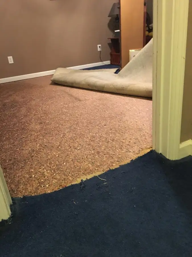 Carpet pad removal revealing water damage during Drying & Dehumidification in Land O' Lakes