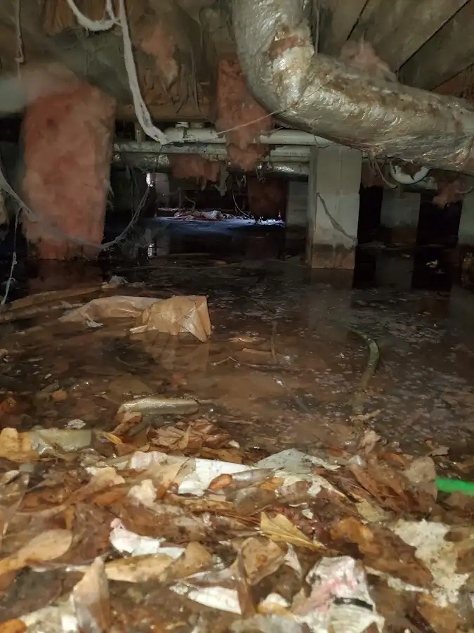 Crawl space flood assessment for Leak Detection & Repair in Land O' Lakes