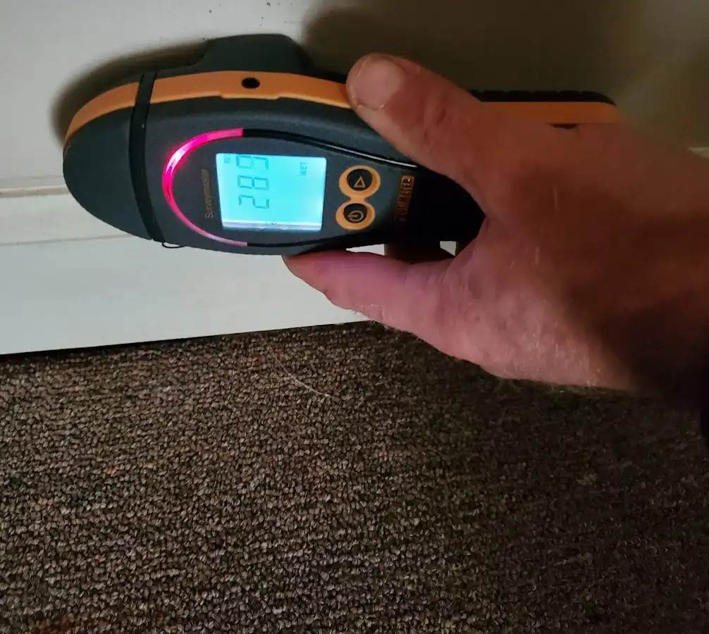Moisture detection at baseboard during Storm Damage Restoration in Land O' Lakes